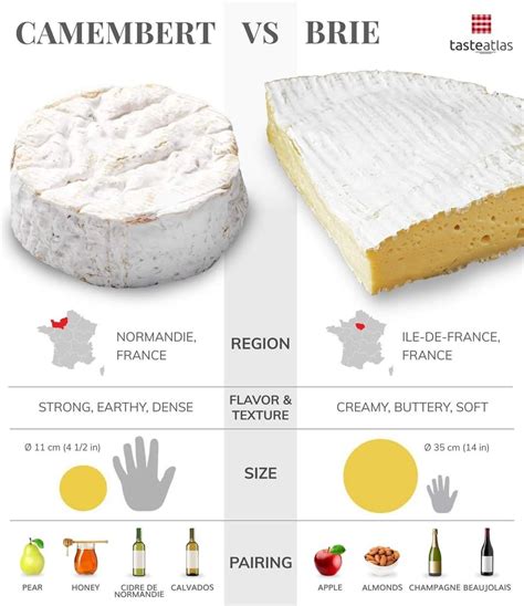 camembert vs brie.